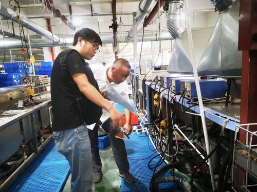 規(guī)范廠中廠服務(wù)小微園，樂清翁垟街道繃緊企業(yè)生產(chǎn)安全弦